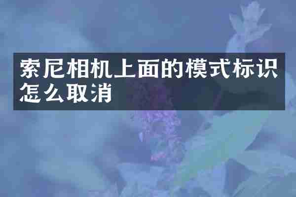 相机上面的模式标识怎么取消