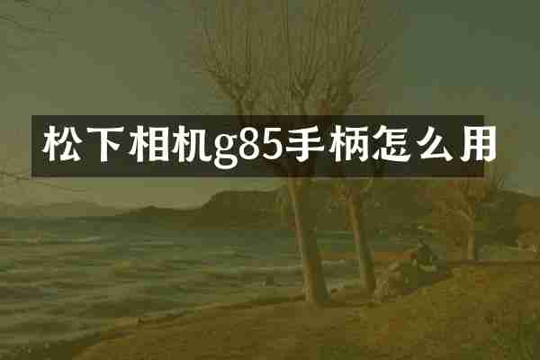 相机g85手柄怎么用