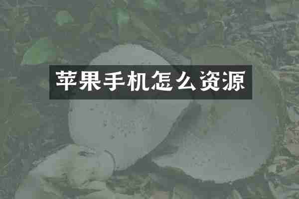 苹果手机怎么资源