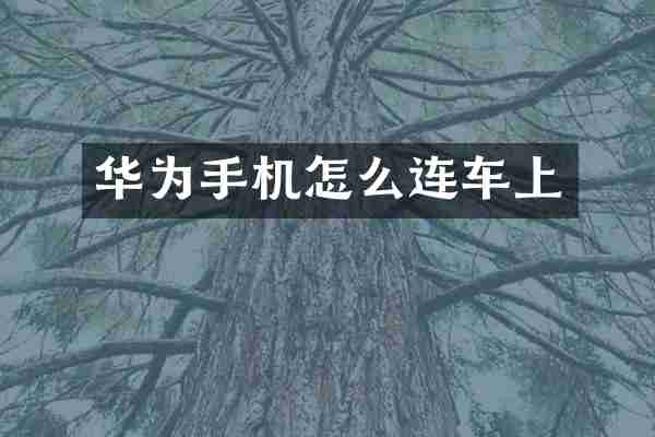 华为手机怎么连车上