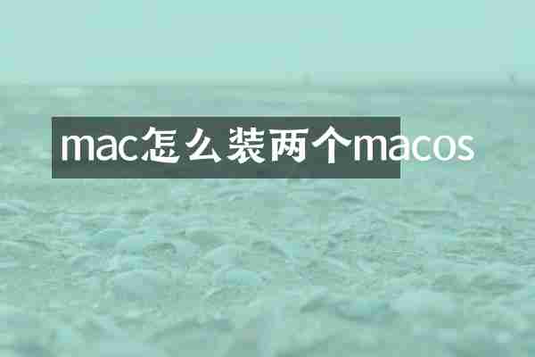 mac怎么装两个macos