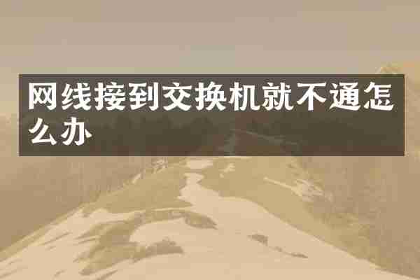 网线接到交换机就不通怎么办