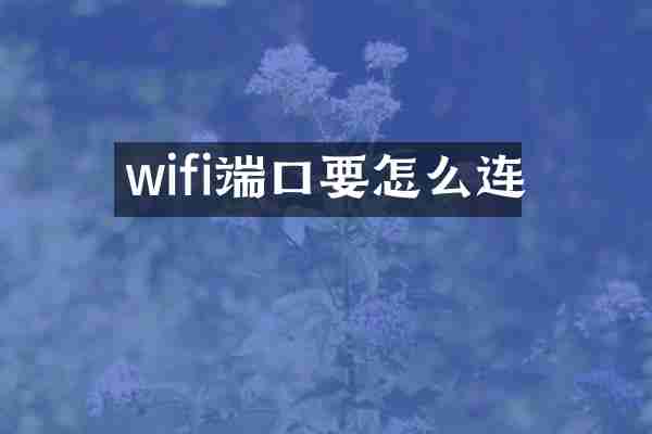 wifi端口要怎么连