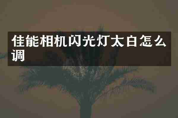 佳能相机闪光灯太白怎么调