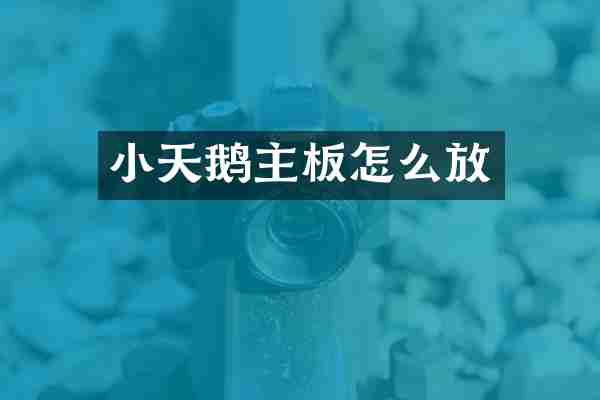小天鹅主板怎么放