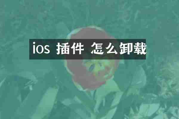 ios 插件 怎么卸载