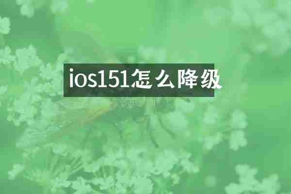 ios151怎么降级