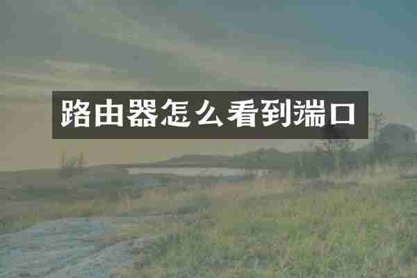 路由器怎么看到端口