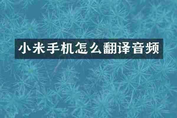 小米手机怎么翻译音频