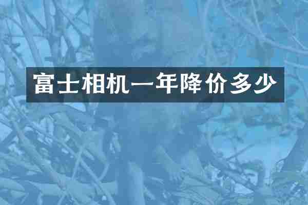 富士相机一年降价多少