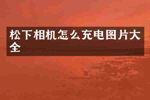 相机怎么充电图片大全