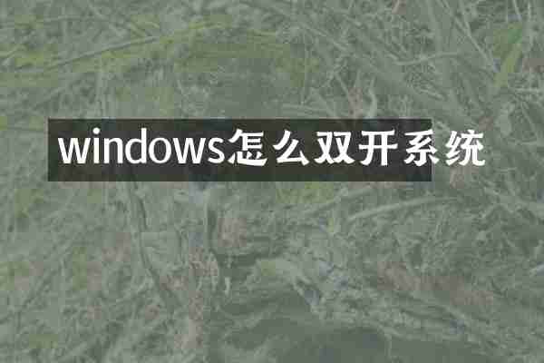 windows怎么双开系统