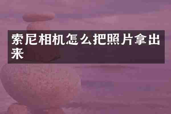 相机怎么把照片拿出来
