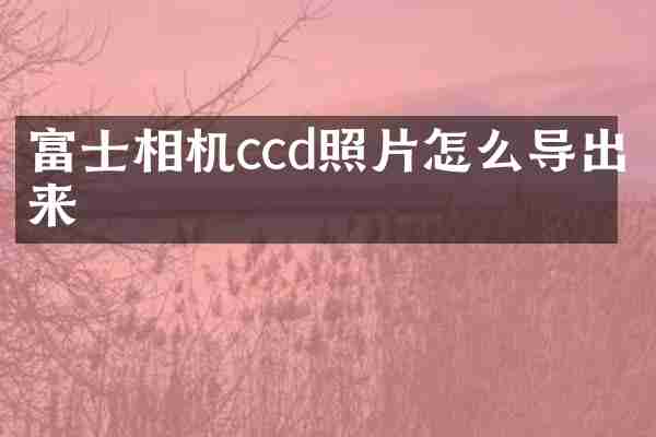 富士相机ccd照片怎么导出来