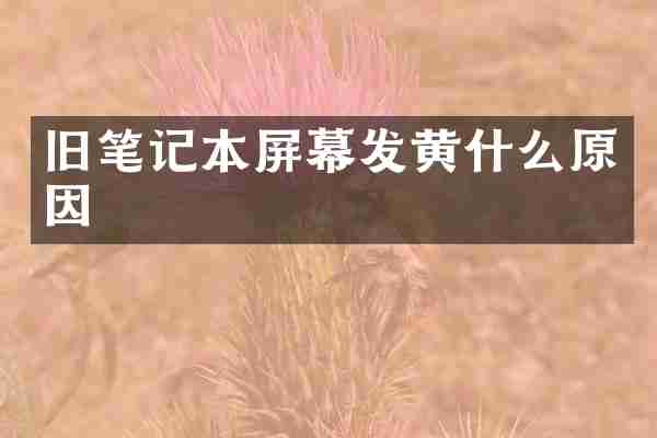 旧笔记本屏幕发黄什么原因