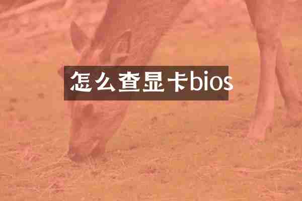 怎么查显卡bios