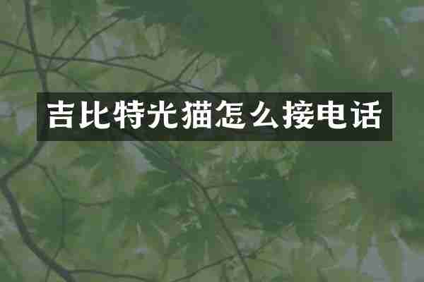 吉比特光猫怎么接电话