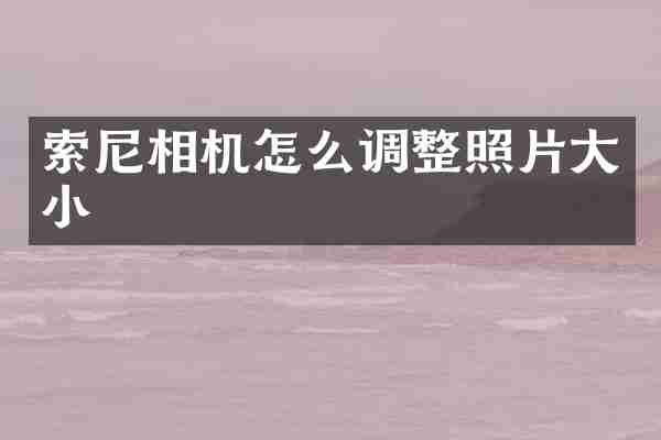 相机怎么调整照片大小