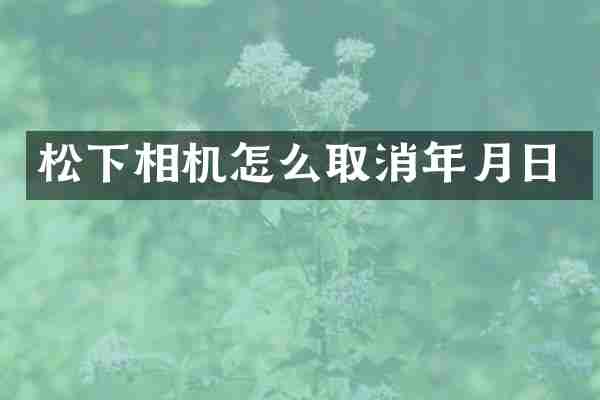 相机怎么取消年月日