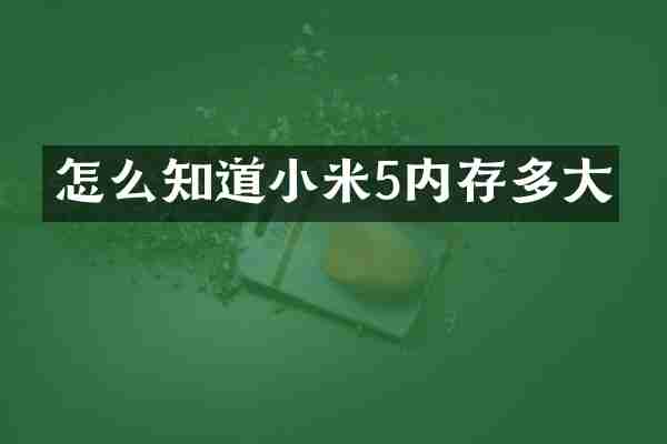 怎么知道小米5内存多大