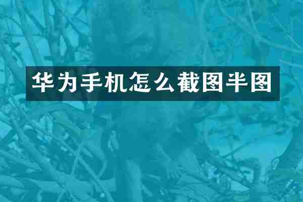 华为手机怎么截图半图