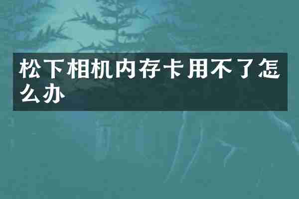 松下相机内存卡用不了怎么办