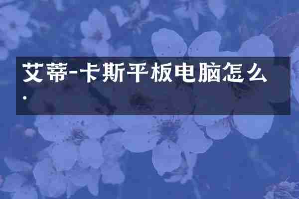 艾蒂-卡斯平板电脑怎么样
