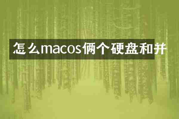 怎么macos俩个硬盘和并
