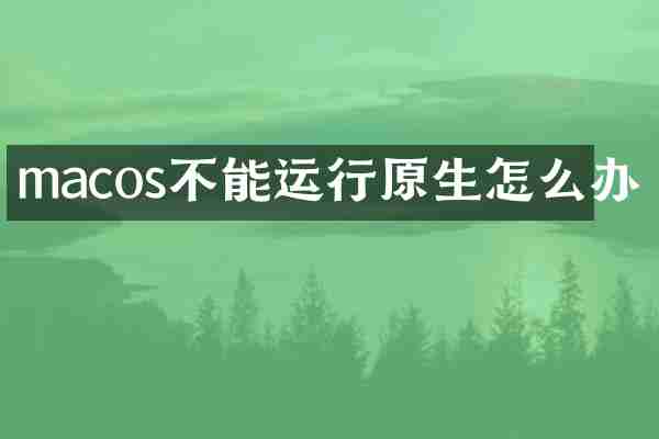 macos不能运行原生怎么办