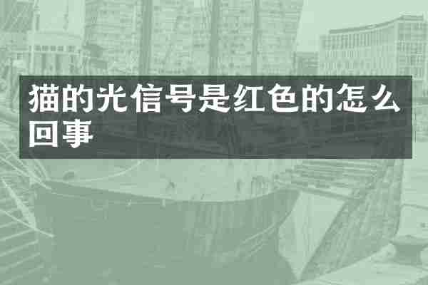 猫的光信号是红色的怎么回事