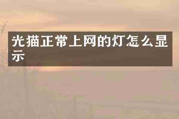 光猫正常上网的灯怎么显示