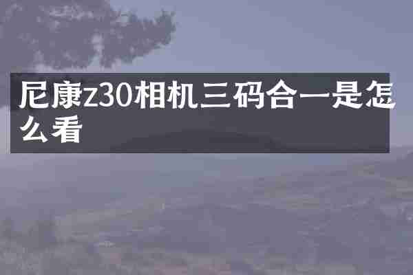 尼康z30相机三码合一是怎么看