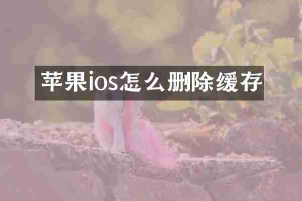 苹果ios怎么删除缓存