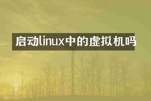 启动linux中的虚拟机吗