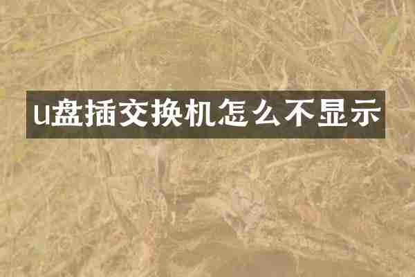 u盘插交换机怎么不显示