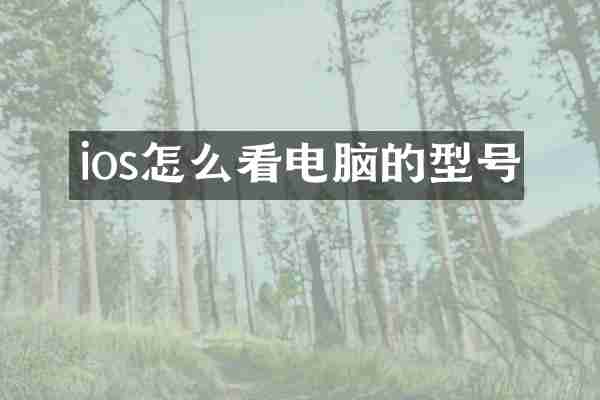 ios怎么看电脑的型号