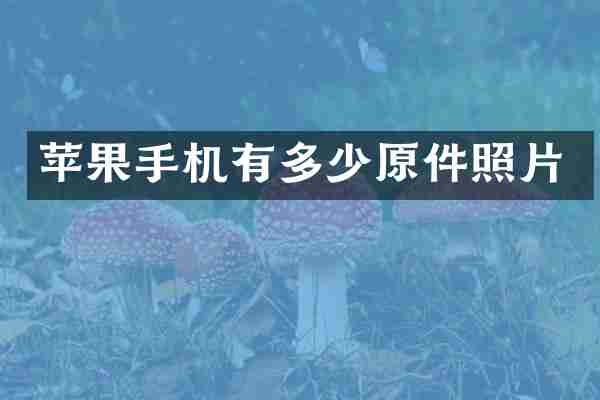 苹果手机有多少原件照片