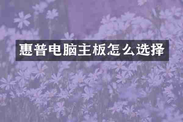 惠普电脑主板怎么选择