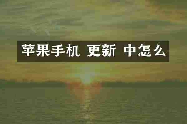 苹果手机 更新 中怎么