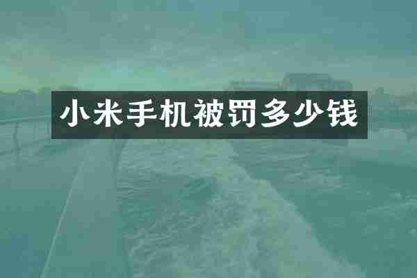 小米手机被罚多少钱