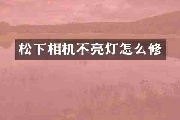 相机不亮灯怎么修