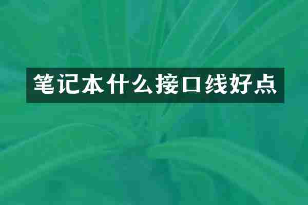笔记本什么接口线好点