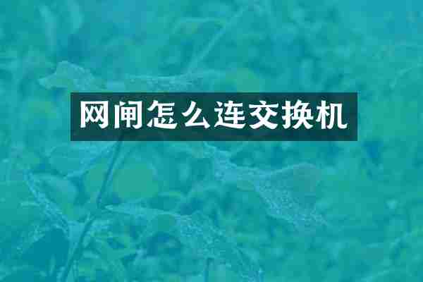 网闸怎么连交换机