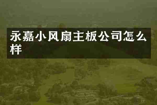 永嘉小风扇主板公司怎么样