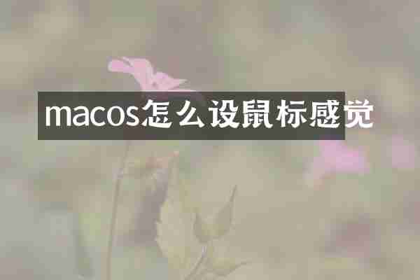 macos怎么设鼠标感觉
