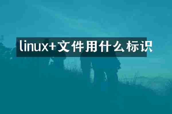 linux+文件用什么标识