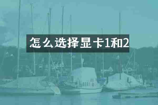 怎么选择显卡1和2