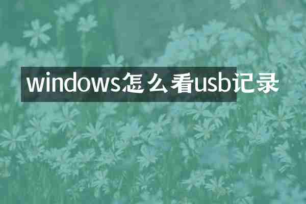 windows怎么看usb记录