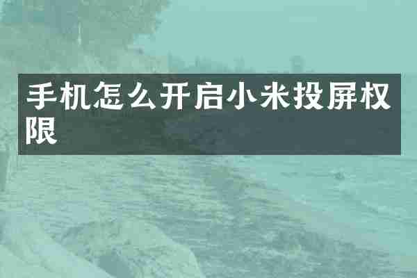 手机怎么开启小米投屏权限