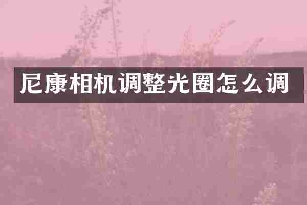 尼康相机调整光圈怎么调